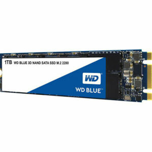 WESTERN DIGITAL HARD DISK SSD 1TB BLUE M.2 (WDS100T2B0B)