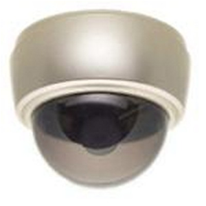 ALPHA POWER TELECAMERA SORVEGLIANZA IP DOME TYPE FIC-DM310