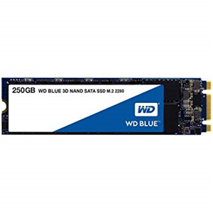 WESTERN DIGITAL HARD DISK SSD 250GB BLUE M.2 (WDS250G2B0B)