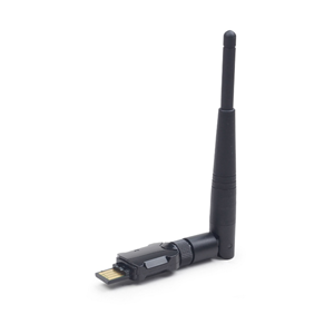 TECHMADE SCHEDE DI RETE WIRELESS USB 300 MBPS WNP-UA300P-01